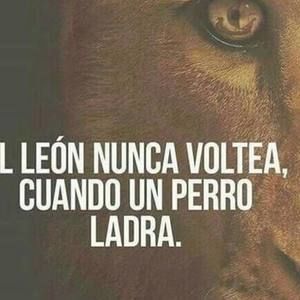 Meet your Posher, Cristian